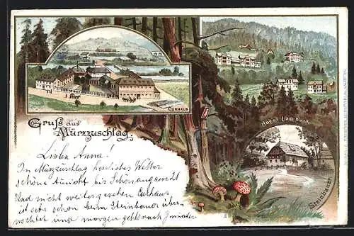 Lithographie Mürzzuschlag, Hotel Lambach, Curhaus