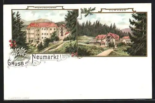 Lithographie Neumarkt in der Steiermark, Pichlschloss, Curhaus