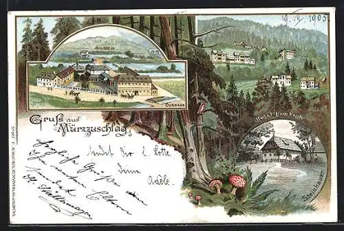 Lithographie Mürzzuschlag, Hotel Lambach, Curhaus, Steinhauer