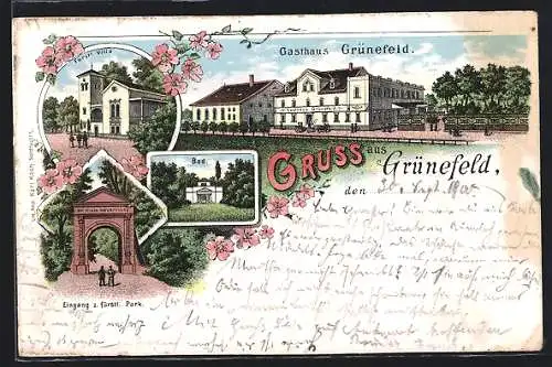Lithographie Grünefeld / Waldenburg, Gasthaus Grünefeld, Bad, Fürstliche Villa