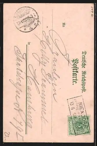 Lithographie Niendorf, Münsters Gasthof, Inh. P. Koch, Veranda u. Garten