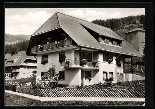 AK Menzenschwand, Hotel-Pension Alois Denz