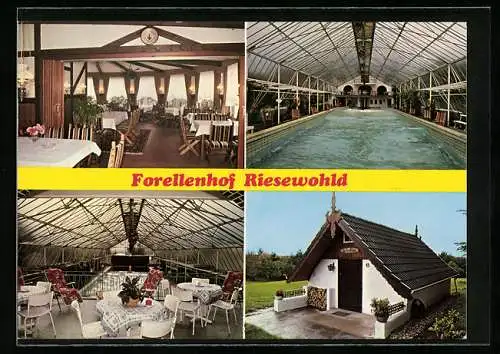 AK Riesewohld /Holst., Restaurant-Hotel Forellenhof