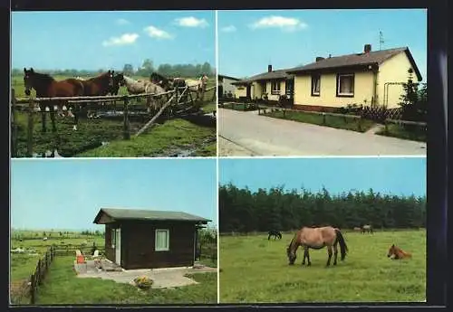 AK Wietzendorf /Lüneburger Heide, Hotel-Pension Urlaub auf dem Bauernhof Tannenhof