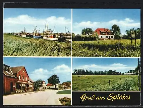AK Spieka-Neufeld /Nordsee, Ortspartie, Strassenpartie und Hafenansicht