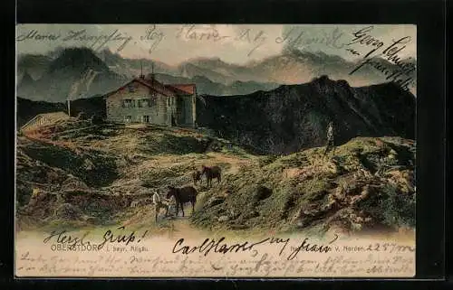 AK Nebelhornhaus, Berghütte von Norden gesehen