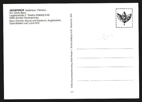 AK Sinntal-Neuengronau, Gasthaus-Pension Jägerhof, Lagertzstrasse 2, Ortsansicht aus der Vogelschau