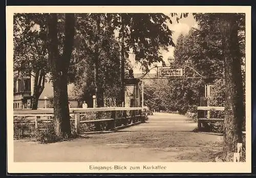 AK Bad Berka, Eingang - Blick zum Kurcafé