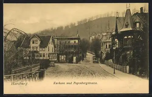AK Bad Harzburg, Kurhaus und Papenbergstrasse