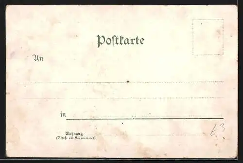 Lithographie Hof i. Bayern, Michaeliskirche, Labyrinth, Kath. Kirche, Bahnhof und Panorama