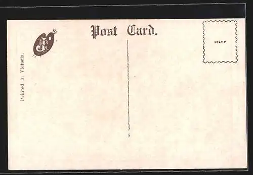 AK Melbourne, Eastern Hill, St. Patrick's Cathedral, Strassenbahn