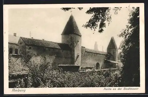 AK Amberg, Partie an der Stadtmauer