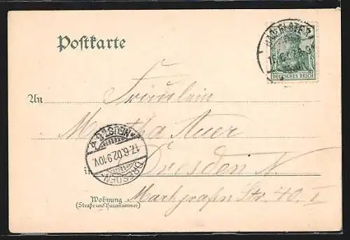 AK Bad Elster, Ortsansicht von der Alberthöhe aus