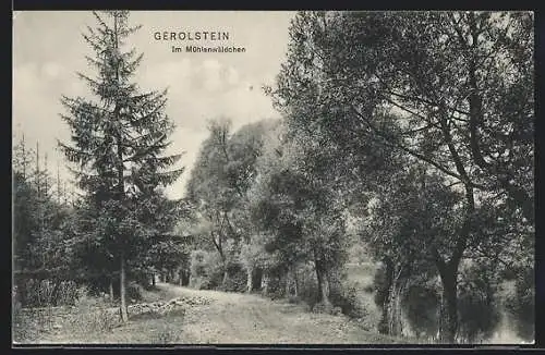 AK Gerolstein, Im Mühlenwäldchen