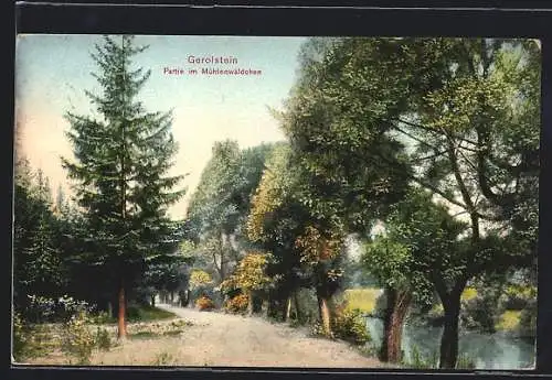 AK Gerolstein, Weg im Mühlenwäldchen