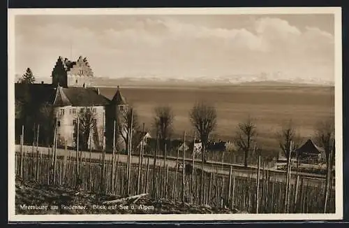 AK Meersburg a. B., Blick auf See und Alpen, Burg