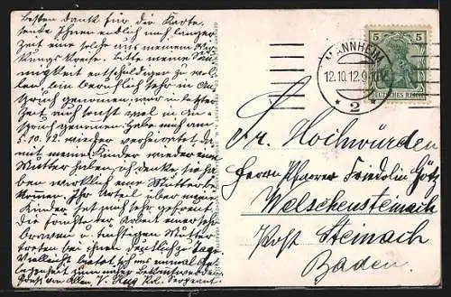 AK Mannheim, Blick aus der Vogelschau auf den Ort