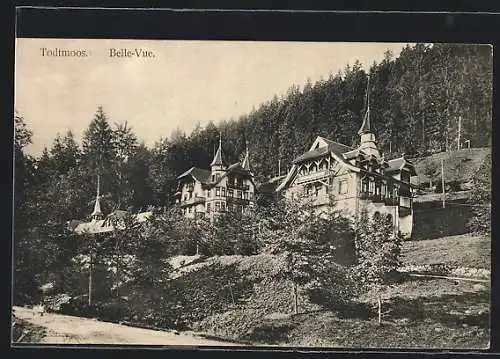 AK Todtmoos, Hotel Belle-Vue