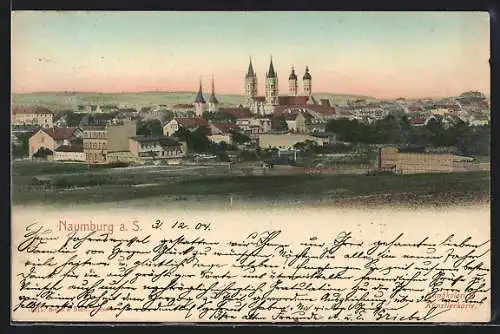 AK Naumburg a. S., Ortsansicht von einem Feld aus