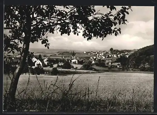 AK Hünfeld, Blick zum Ort vom Feld aus