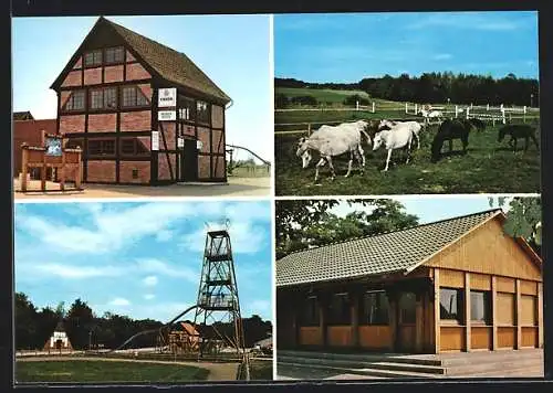 AK Dwergte, Dwergter Spieker, Ponyhof Dwergte in vier Ansichten