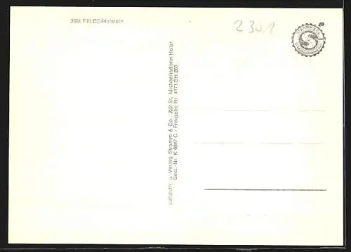 AK Felde / Achterwehr, Fliegeraufnahme vom Ort