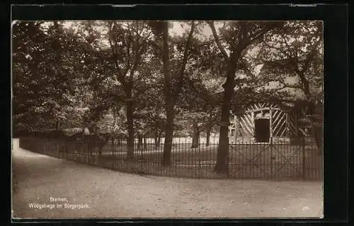 AK Bremen, Wildgehege im Bürgerpark