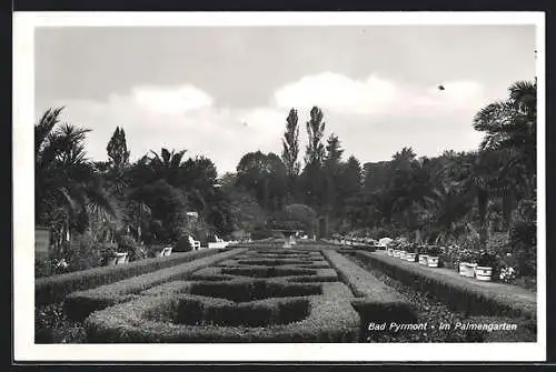 AK Bad Pyrmont, Im Palmengarten