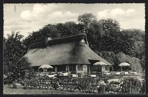 AK Bad Zwischenahn, Ammerlander Gasthaus D. Meyer am Zwischenahner Meer