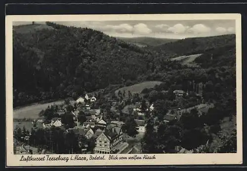 AK Treseburg i. Harz, Blick vom Gasthaus weisser Hirsch ins Bodetal