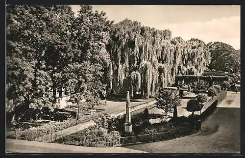 AK Bischofswerda /Sa., Mühlteich mit Denkmal