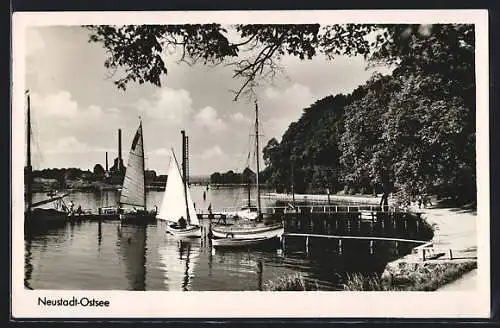 AK Neustadt /Ostsee, Uferpartie mit Segelbooten