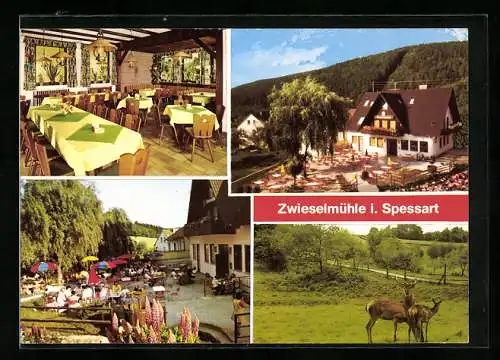 AK Schollbrunn / Spessart, Gasthaus Zwieselmühle von aussen und innen