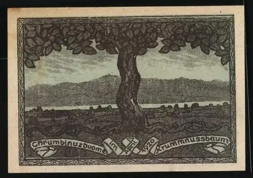 Notgeld Krummnussbaum 1920, 10 Heller, Bauer und Soldat