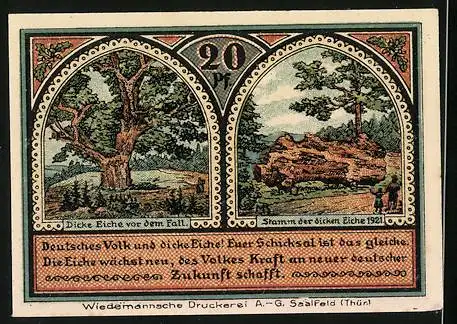 Notgeld Roda bei Ilmenau, 20 Pfennig, Ortsansicht am Wasser, Dicke Eiche vor und nach dem Fällen