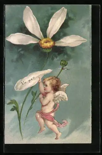 AK Amor zupft an den Blättern einer Margerite Un peu