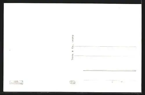 AK Neustadt / Weinstrasse, Kapellenberg