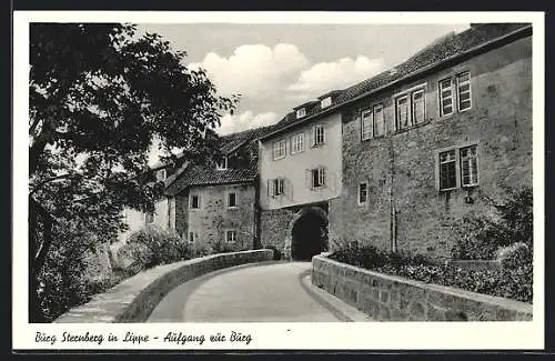 AK Extertal, Burg Sternberg, Aufgang zur Burg