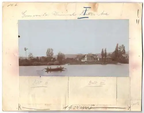 Fotografie Buss & Kupfer, Kreuznach, Ansicht Ingelheim / Rhein, Obstplantage auf der Rheininsel Fulder-Aue