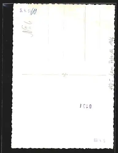 Foto-AK Lam, Strassenumzug zu Fasching 1966