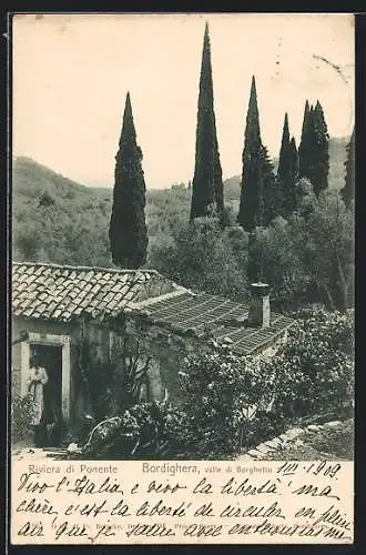 AK Bordighera, valle di Borghetto, Riviera di Ponente
