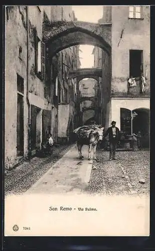 AK San Remo, Via Palma, Esel