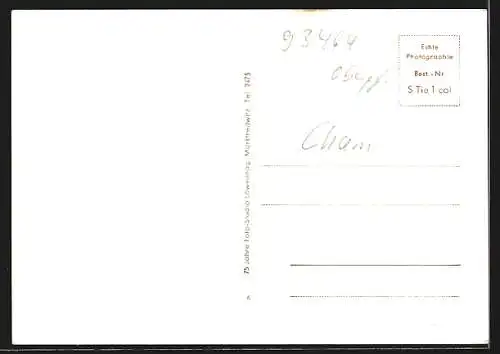 AK Tiefenbach / Opf., Ortsansicht mit Kirche