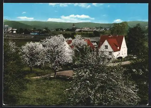 AK Bad Sooden-Allendorf, Gastätte Lückertshof im Frühling