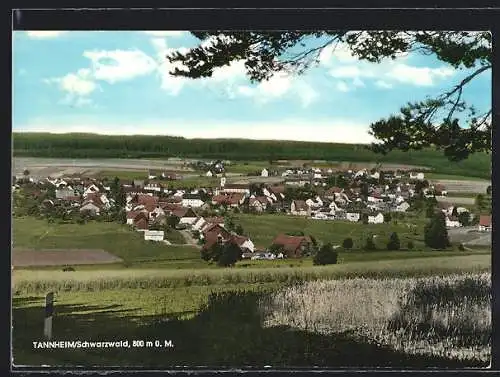 AK Tannheim / Villingen, Ortsansicht mit Kirche