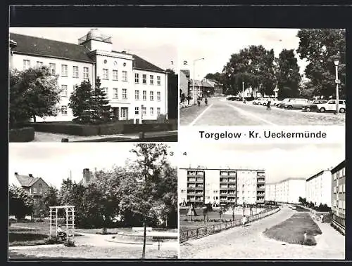 AK Torgelow / Meckl., Kopernikus-Oberschule, Park am Rathaus