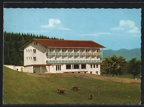 AK Maierhöfen /Allgäu, Iberg Hotel mit Kühen