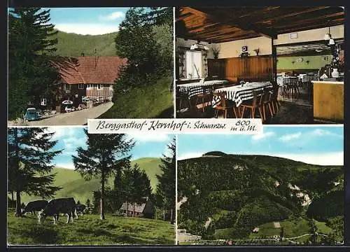 AK Seebach / Schwarzwald, Gasthof Pension Kernhof