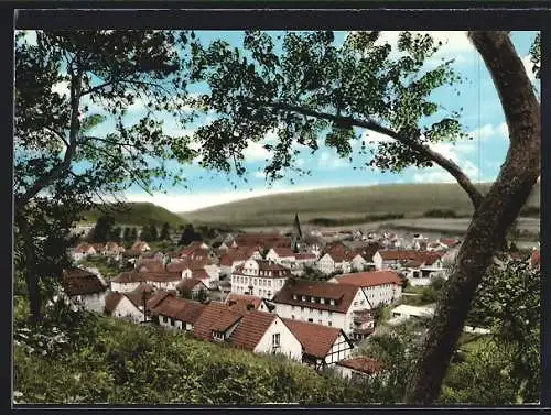 AK Jesberg am Kellerwald, Ortsansicht aus der Vogelschau