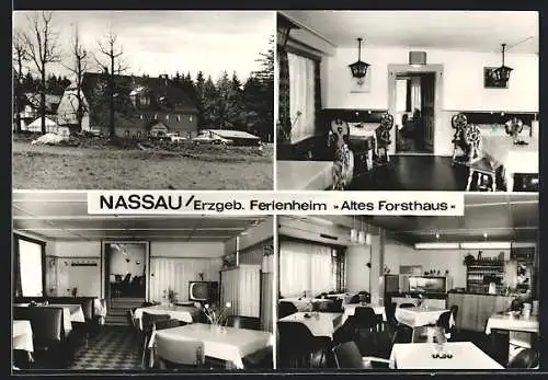 AK Nassau /Erzgeb., Ferienheim Altes Forsthaus